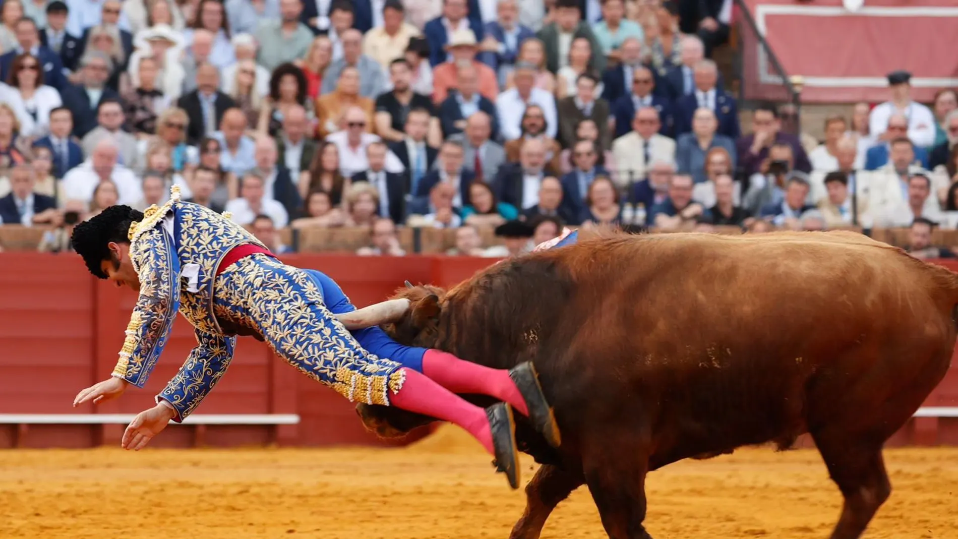 Morante sale de la UCI y tiene una cornada 'sucia, compleja y delicada' y muy delicada recuperándose de una cornada en el glúteo con lesiones delicadas Morante sale de la UCI y tiene una cornada 'sucia, compleja y delicada' y muy delicada recuperándose de una cornada en el glúteo con lesiones delicadas