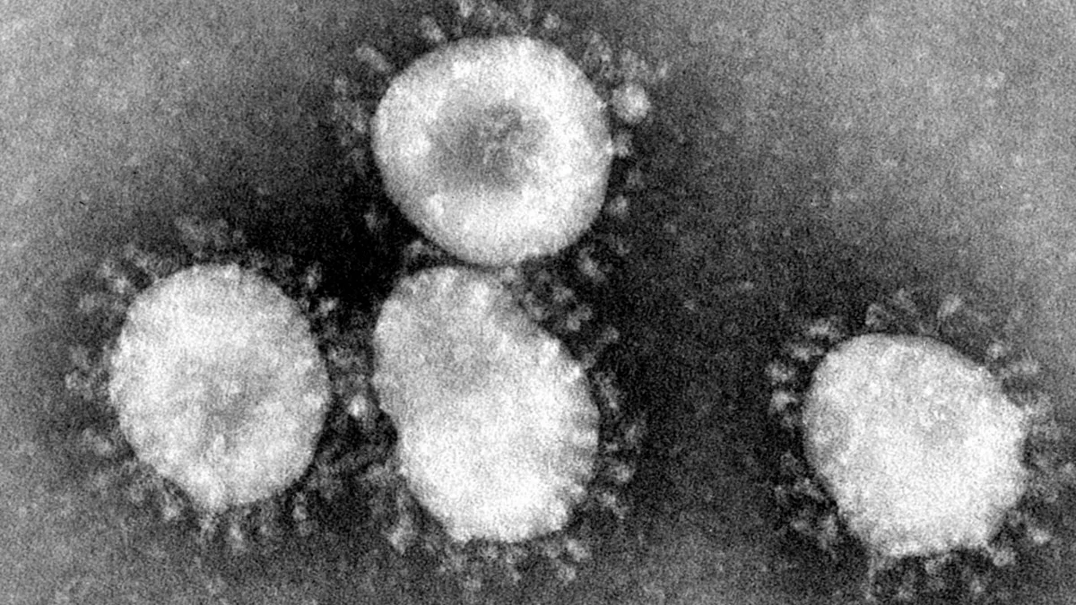 Coronavirus - Destacada