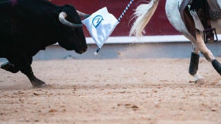Madrid suma su décimo lleno para San Isidro a dos días de empezar la feria