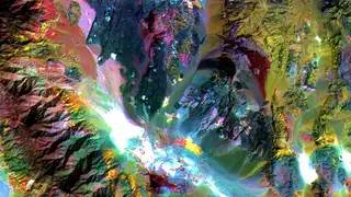 Los satélites analizan en tiempo real la variación en vegetación en todo el planeta NASA