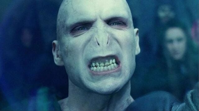 Una leyenda de El Señor de los Anillos se postula a interpretar a Lord Voldemort en la serie de Harry Potter