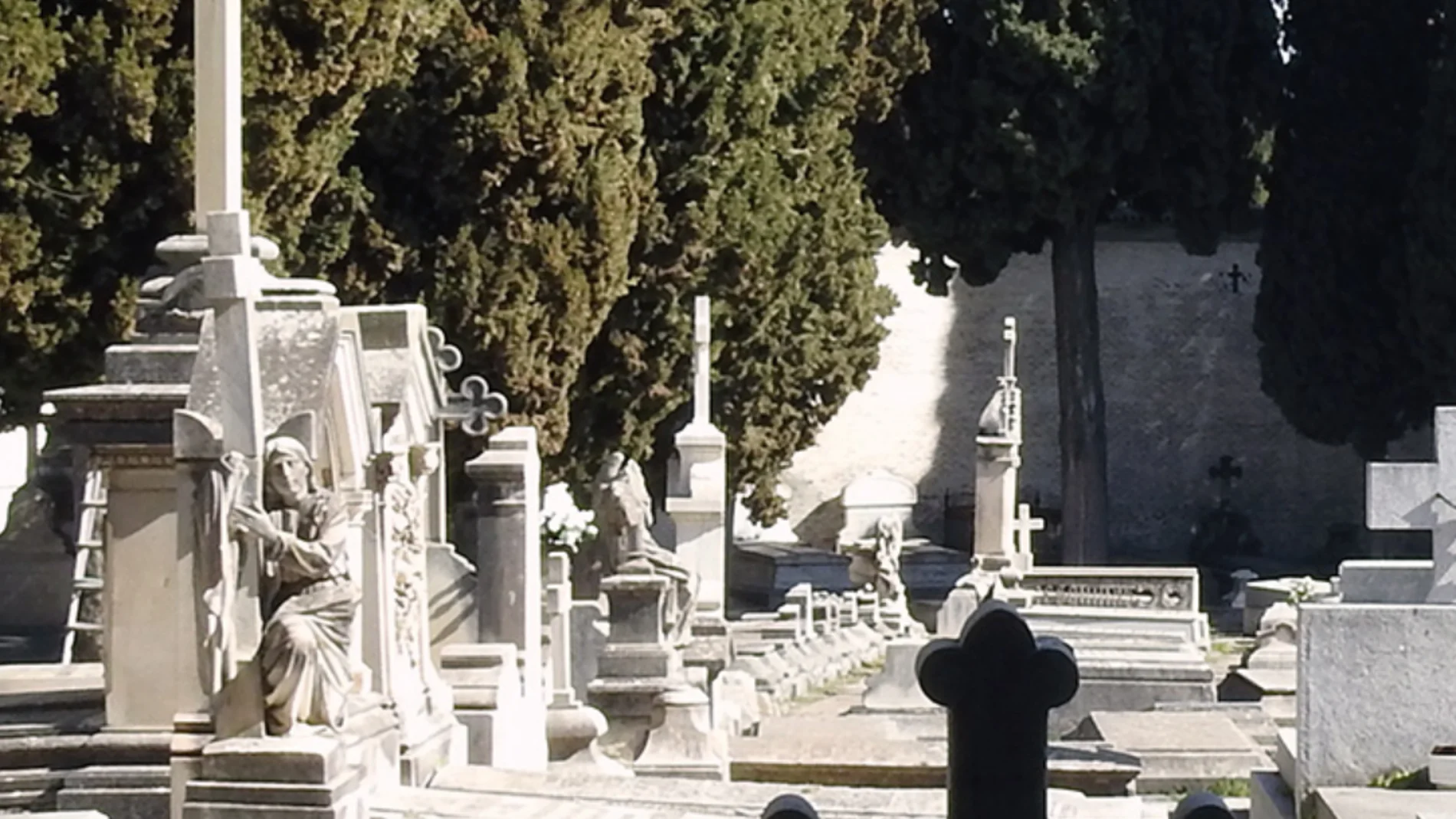 Reflexiones desde el Camposanto: Dos Vidas Ejemplares