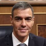 Imagen de archivo de Pedro S&aacute;nchez