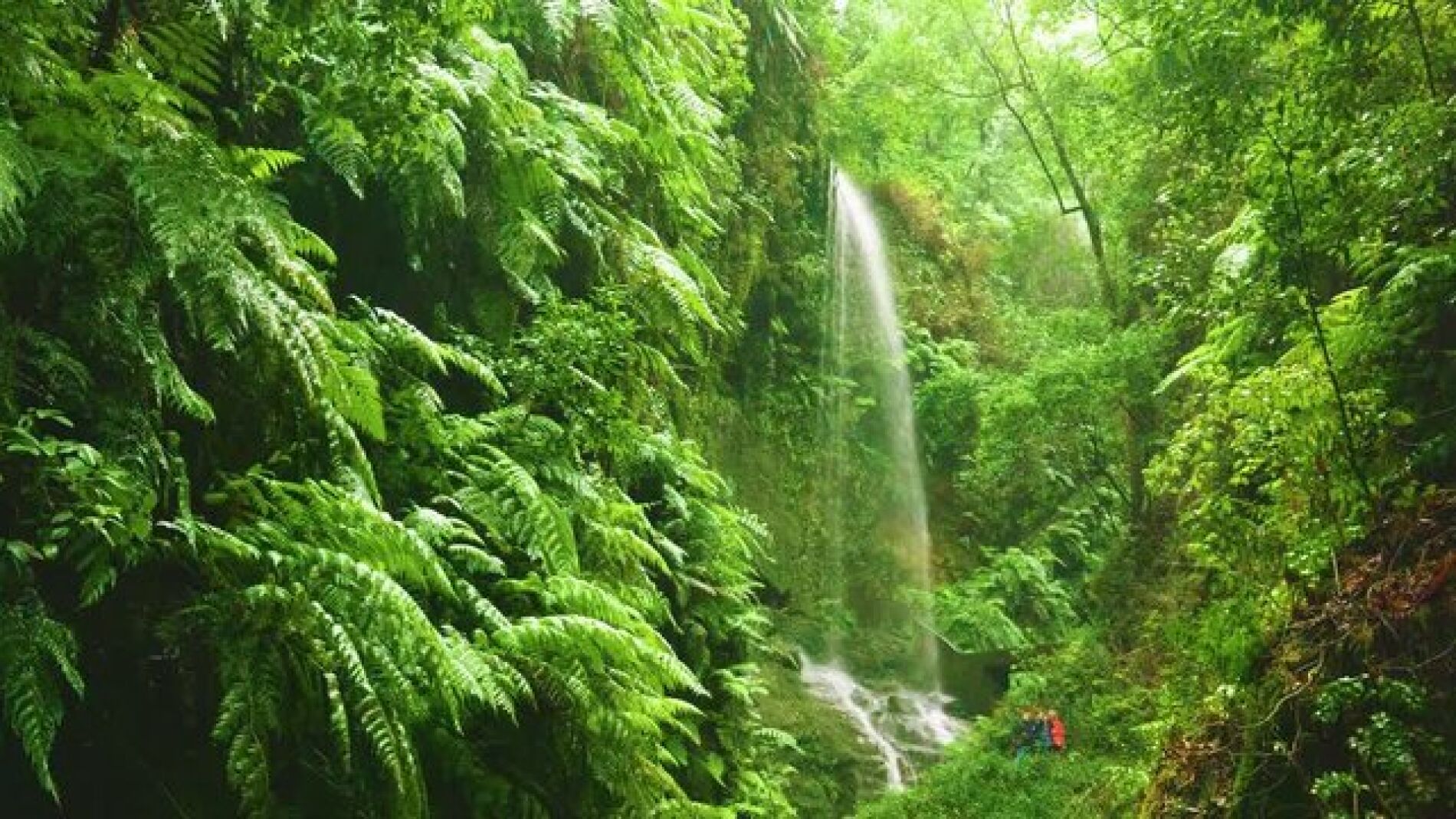 El Daily Mail compara este rincón de España con Costa Rica: una cascada de colores, túneles de agua y el mejor cielo de Europa
