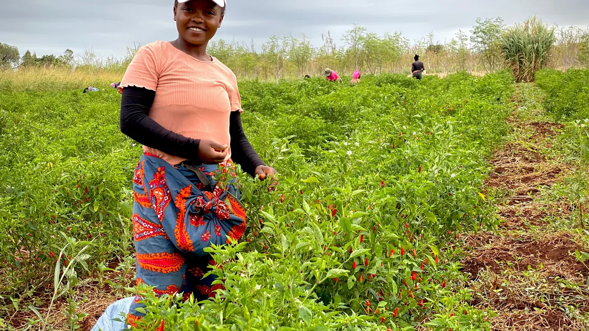 En Cooperación Interancional, fue reconocida, entre otras, la Fundación Mozambique Sur, que trabaja con mujeres en el ámbito rural.