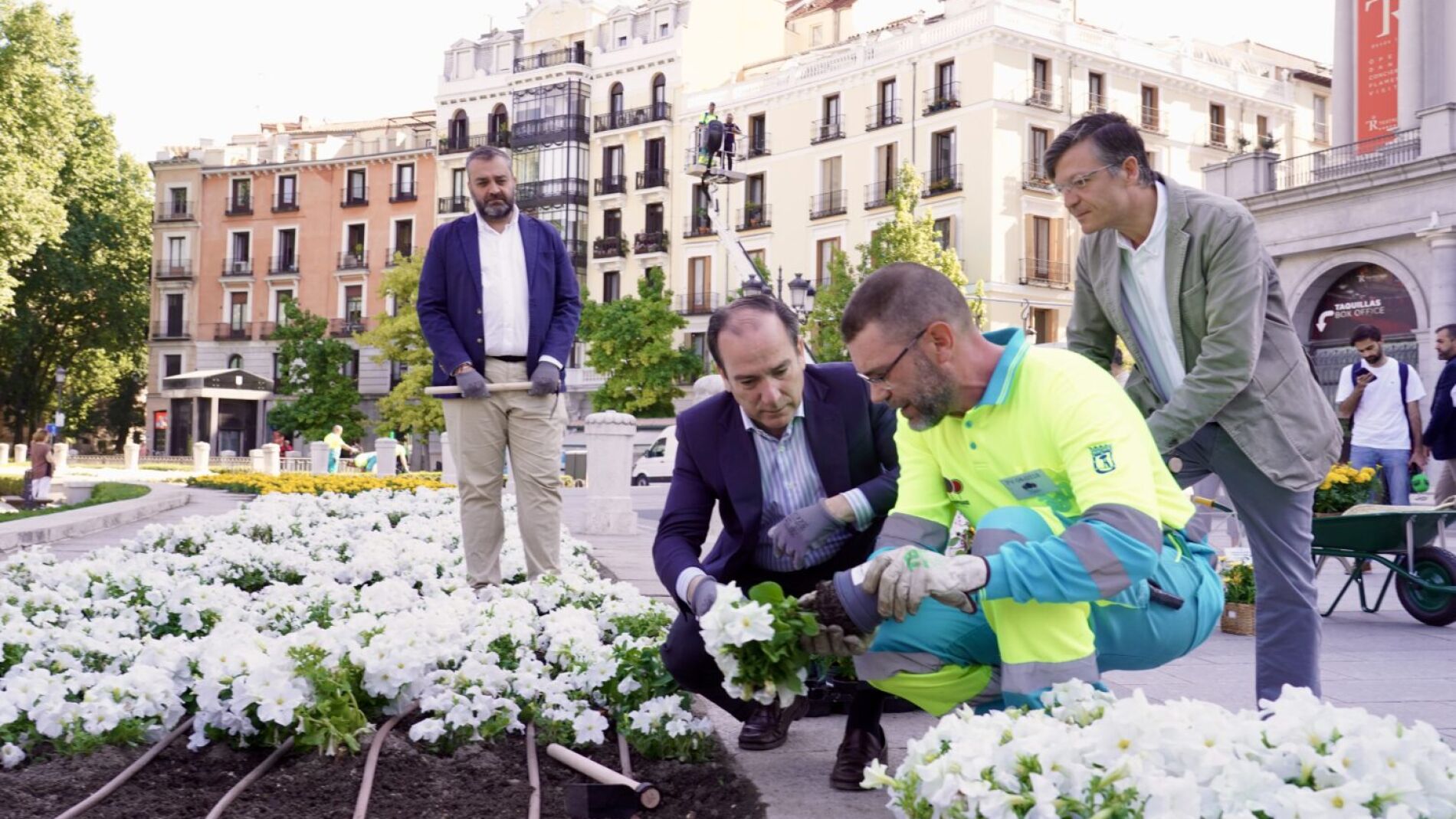 Madrid se adorna con los colores vaticanos: 99.000 flores de Cibeles al Palacio Real