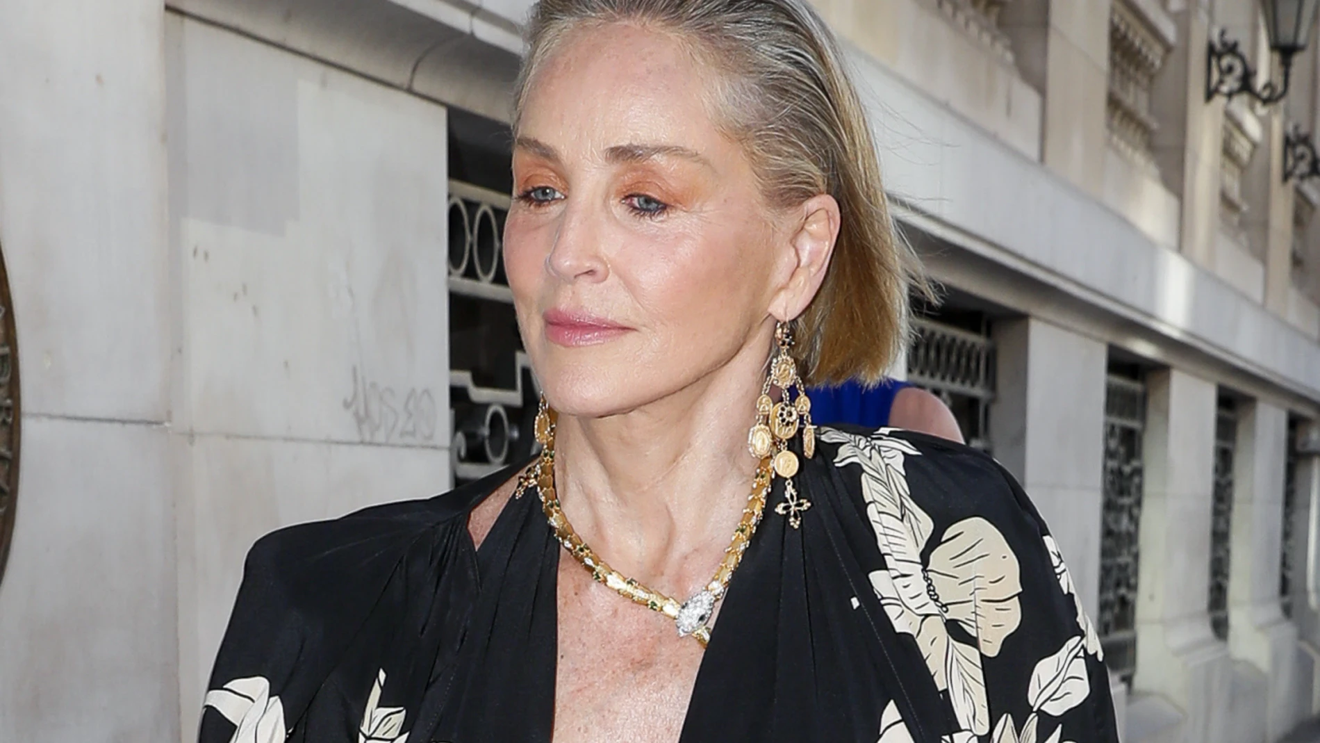 La inteligencia, el secreto mejor guardado de Sharon Stone