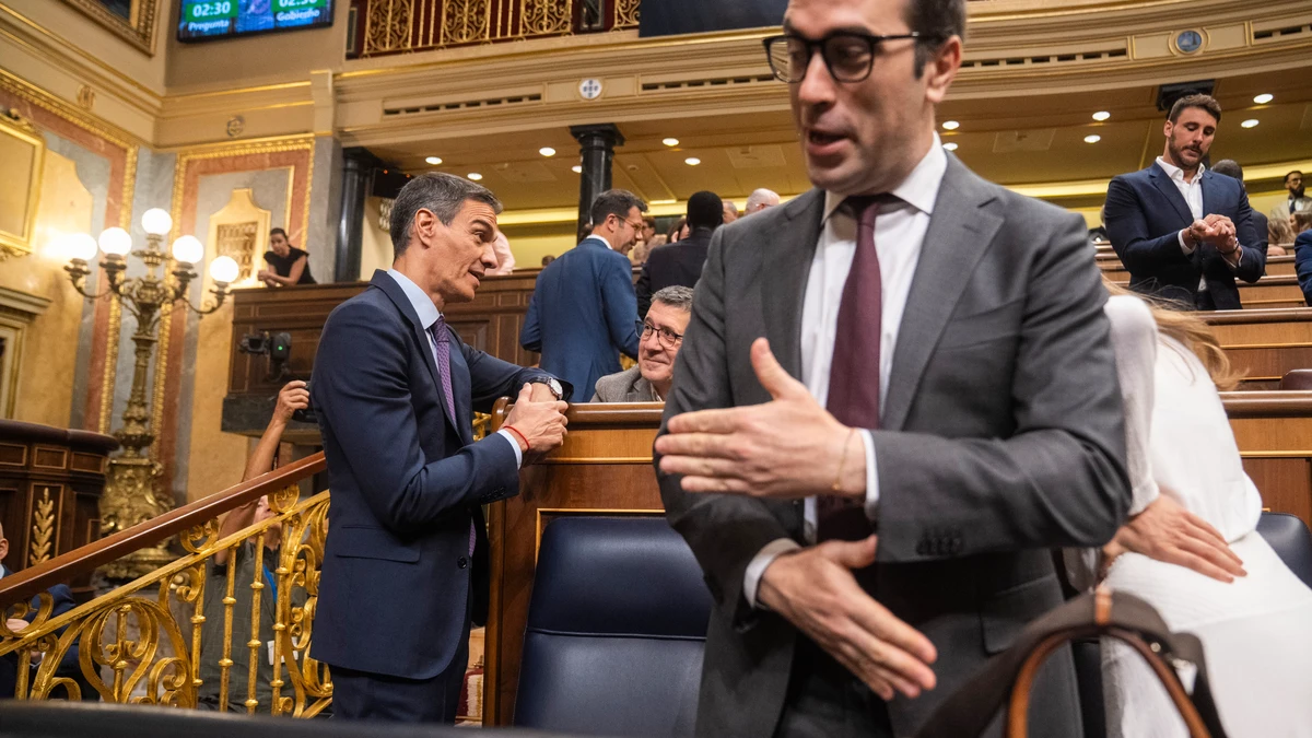 Pedro Sánchez, PSOE, en el Pleno del Congreso de los Diputados. David Jar