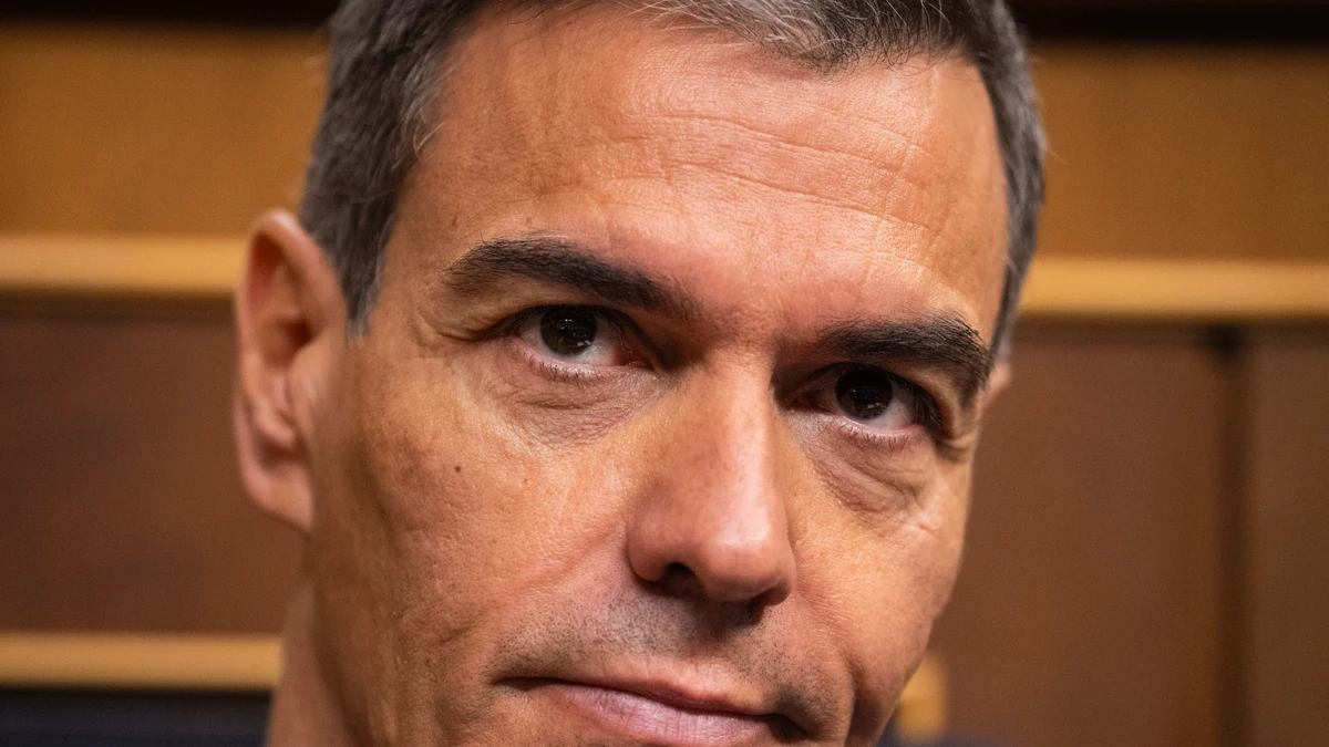 Pedro Sánchez, PSOE, en el Pleno del Congreso de los Diputados. David Jar