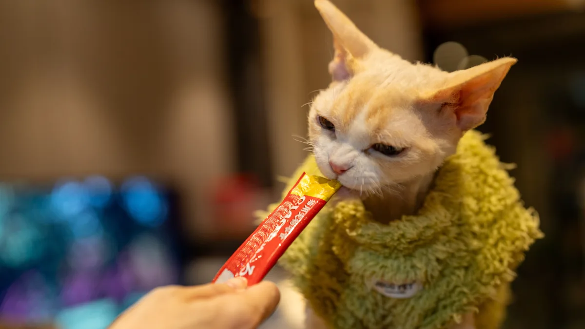 La receta viral para hacer un “churu” casero para tu gato con pocos ingredientes