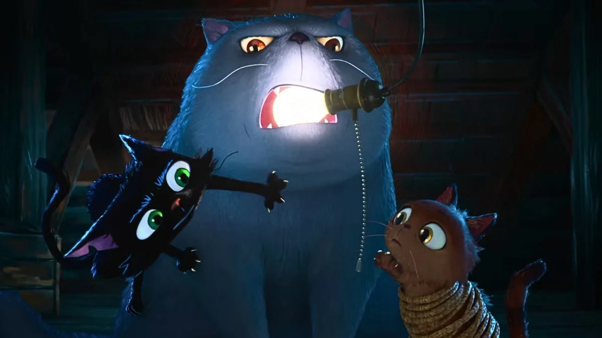 Gatto - Destacada