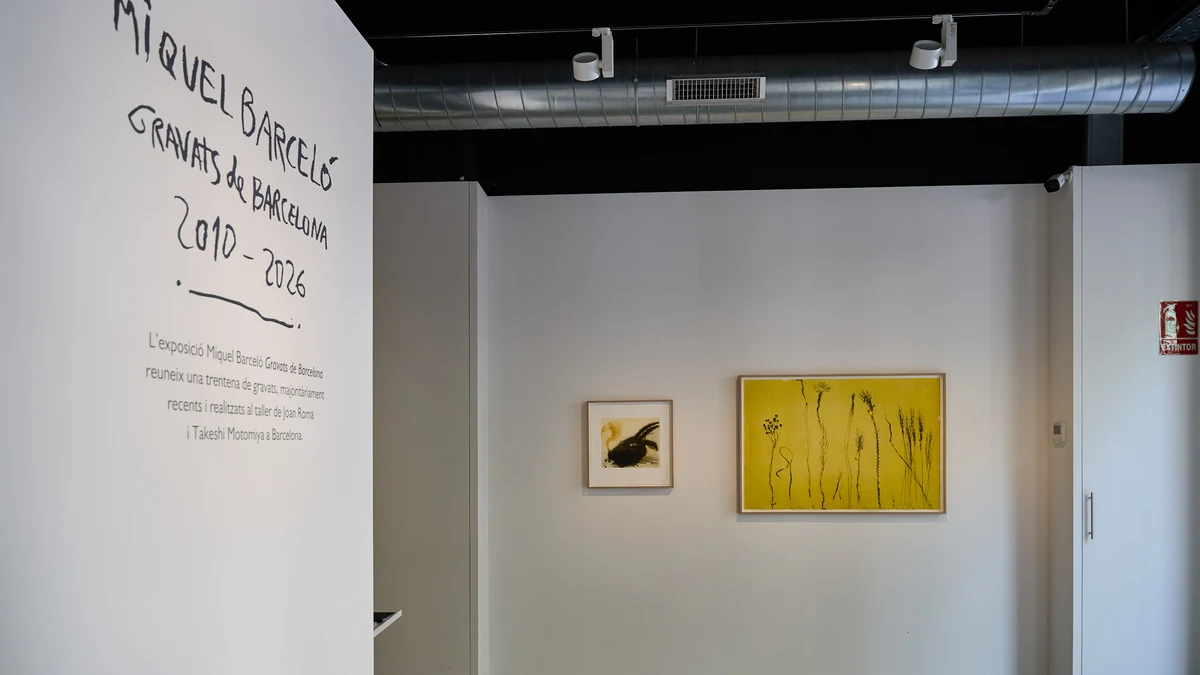 Una imagen de la exposición en Barcelona