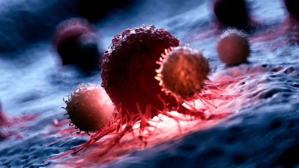 Cáncer - Imagen destacada