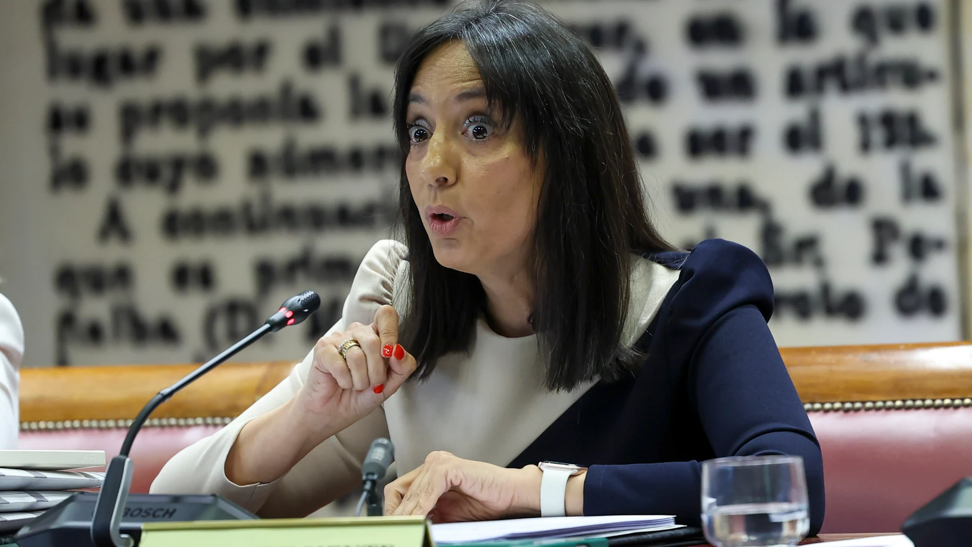Quién es Mercedes González, la mujer que pasó de dirigir la Guardia Civil a estar acorralada por el “caso Leire”