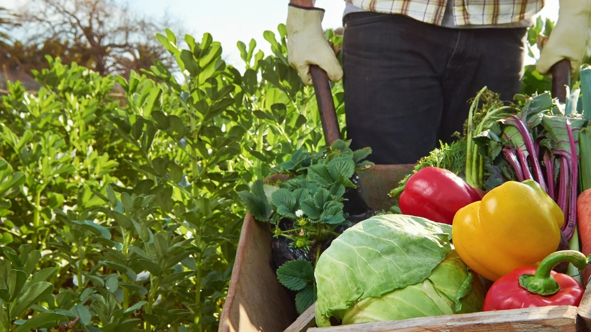 Estos son los países de Europa que compran más alimentos de Andalucía