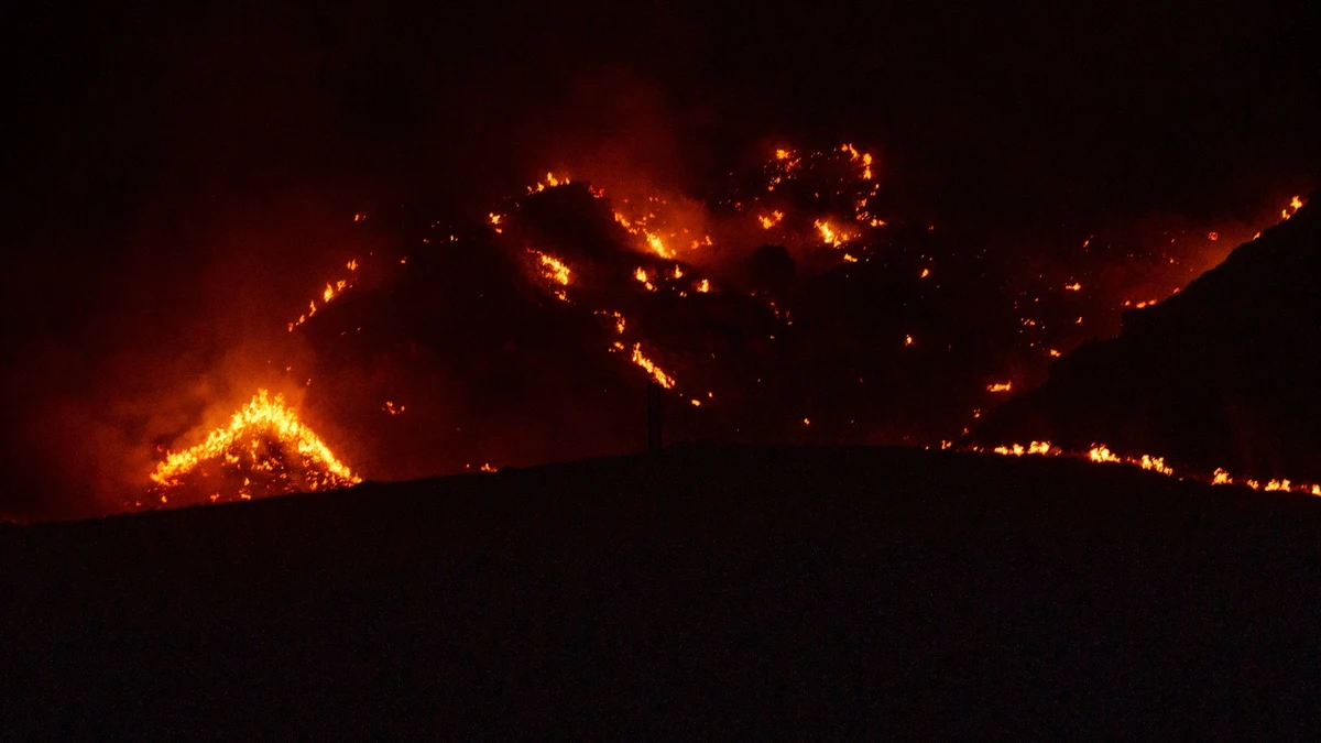 Cien metros al minuto: el avance del incendio de Los Gallardos fue de una gravedad "como nunca"