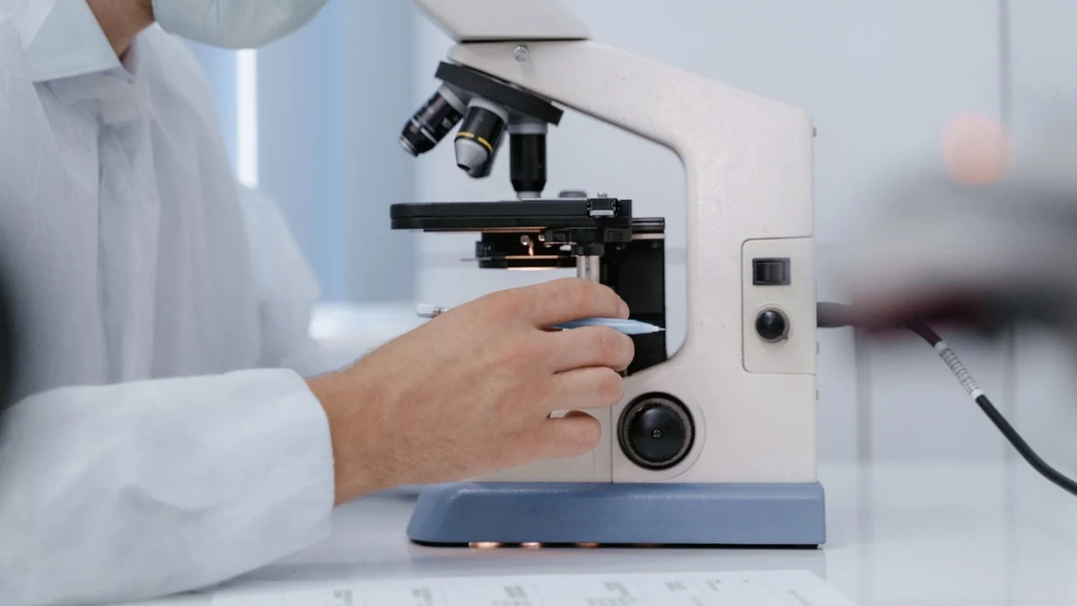 MADRID.-Luz verde a 10 millones para contratar a jóvenes ayudantes de investigación y técnicos de laboratorio en la región