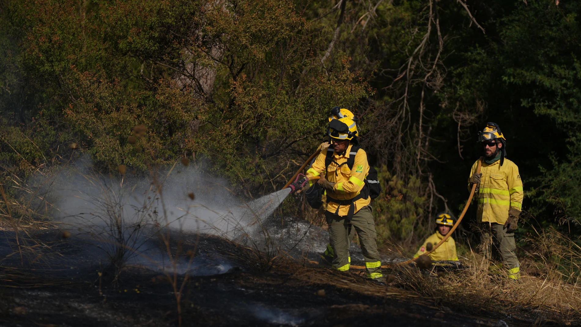 España en alerta máxima: Incendios forestales devastan miles de hectáreas en varias comunidades