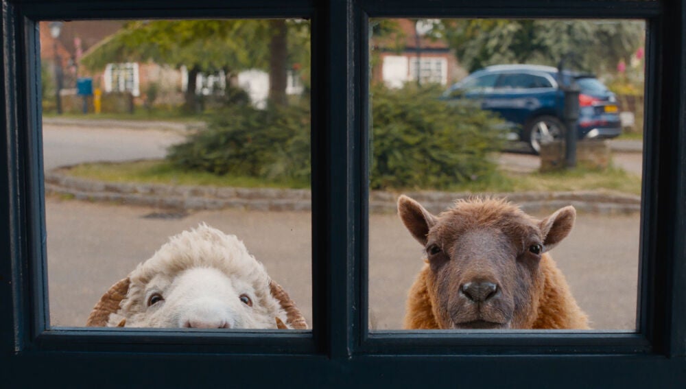 Las ovejas Mopple y Lily, interpretadas por Chris O’Dowd y Julia Louis-Dreyfus