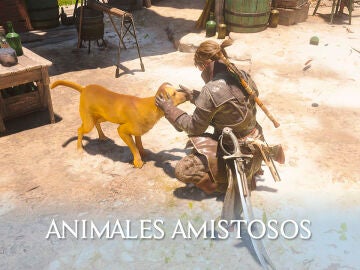 Dónde encontrar 7 animales amistosos en Assassin's Creed Black Flag Resynced