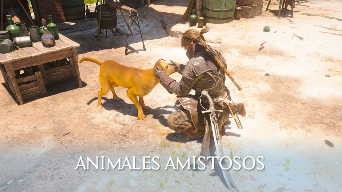 Dónde encontrar 7 animales amistosos en Assassin's Creed Black Flag Resynced