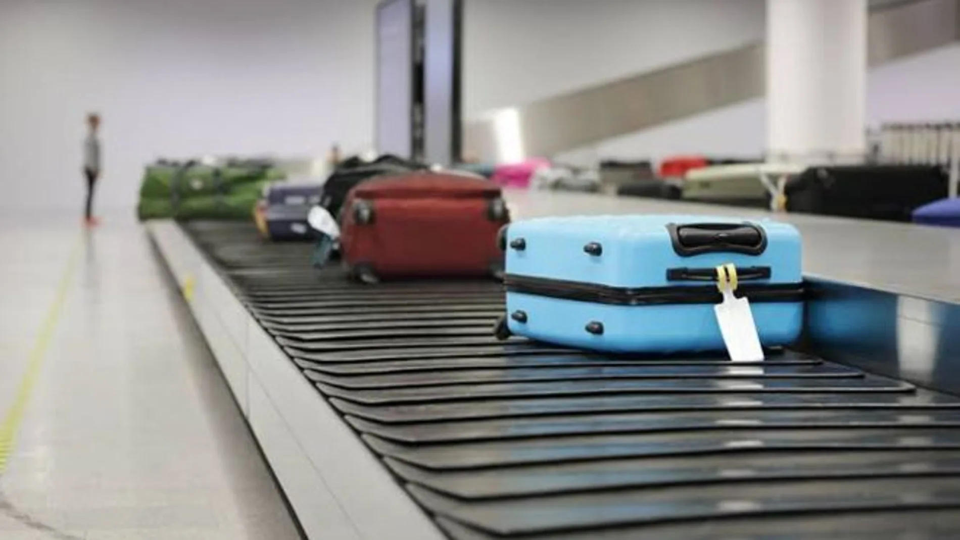 Cuban man arrested at Miami airport for smuggling ten live birds in underwear