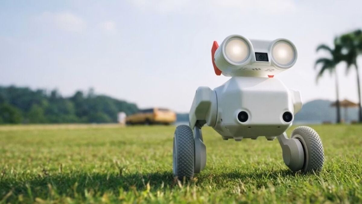 Beni Robot Follows Users at 30 km/h While Filming in 4K