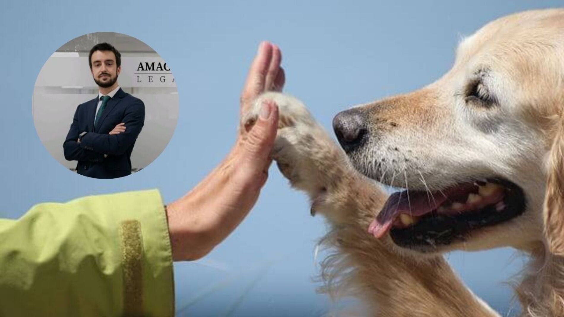 Un abogado laboralista pide nuevos permisos para los trabajadores con mascotas: "La legislación va por detrás de la sociedad"