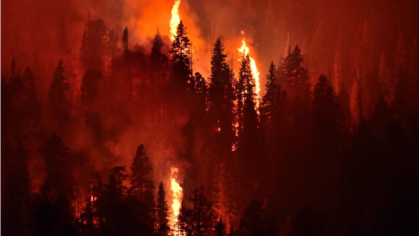 El eclipse solar del 12 de agosto dispara la alerta por incendios: esta es la razón
