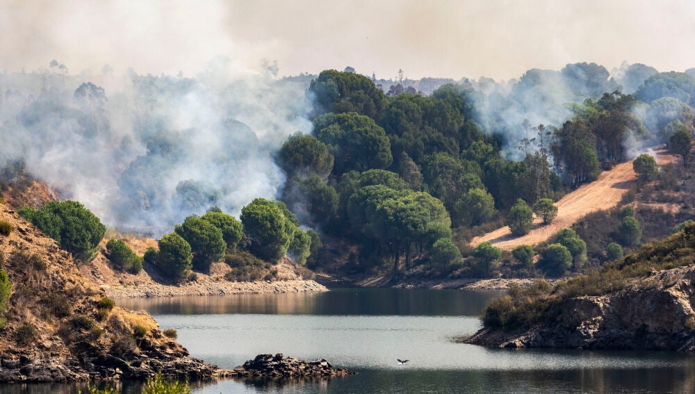 LA PALMA DEL CONDANDO (HUELVA), 12/08/2026.- Incendio junto al embalse del Corumbel Bajo en La Palma del Condado, Huelva, este miércoles. El dispositivo que combate desde hace cinco días el incendio forestal de Niebla (Huelva), que ha alcanzado ya las 28.000 hectáreas afectadas, afronta una jornada 
