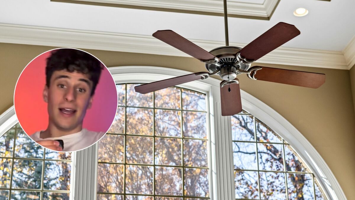 Ceiling fan costs 7.50 euros a month running 24 hours