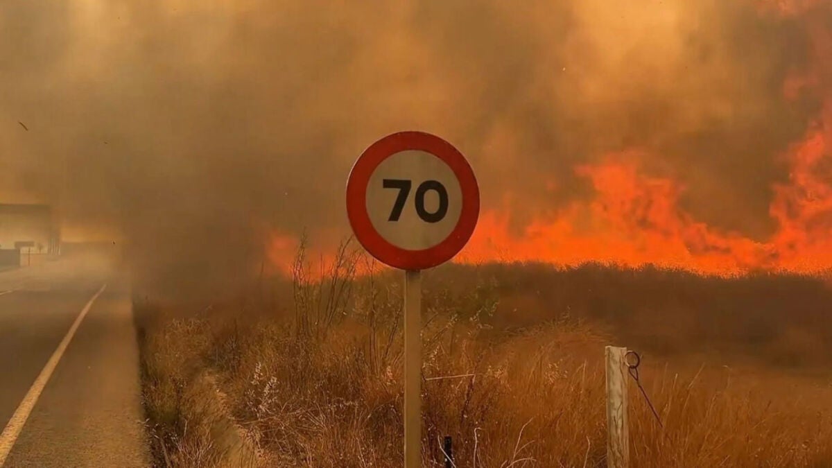 Spain's record wildfire scar pictured from space by NASA