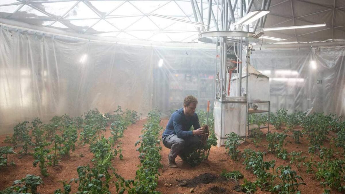 Mars regolith could grow food with fungi, research finds