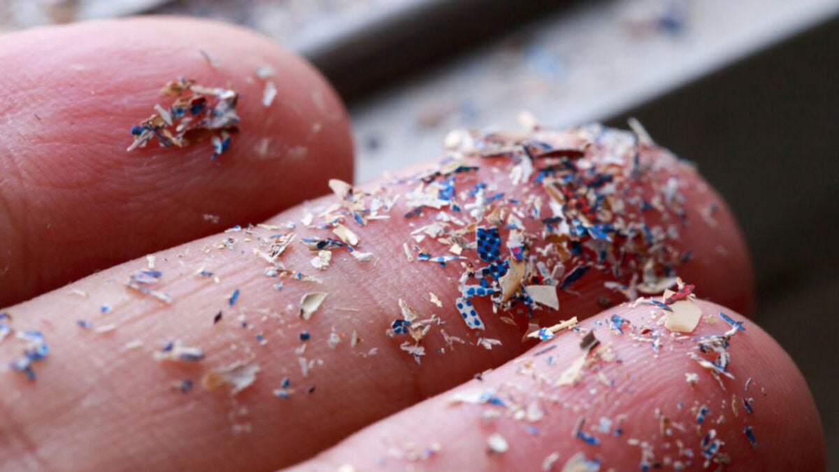 Microplastics accumulate in human brain at record levels