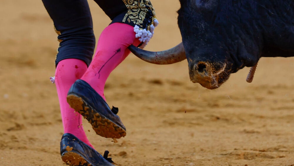 Toros en Málaga