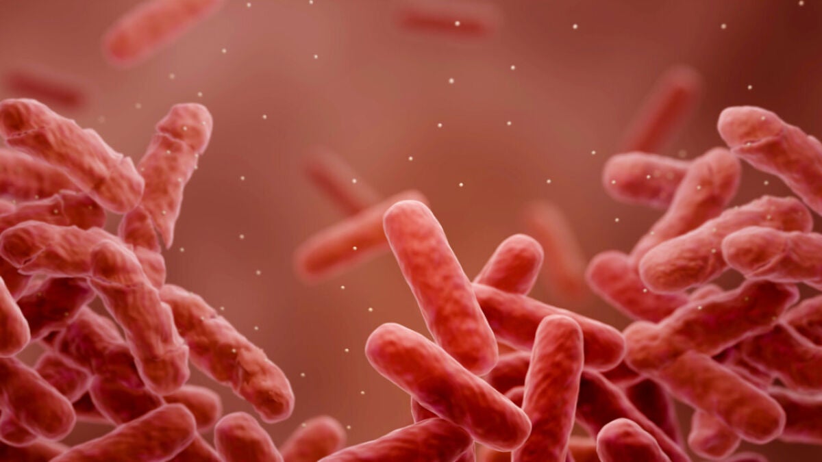 Scientists warn of mirror life immune evasion risks