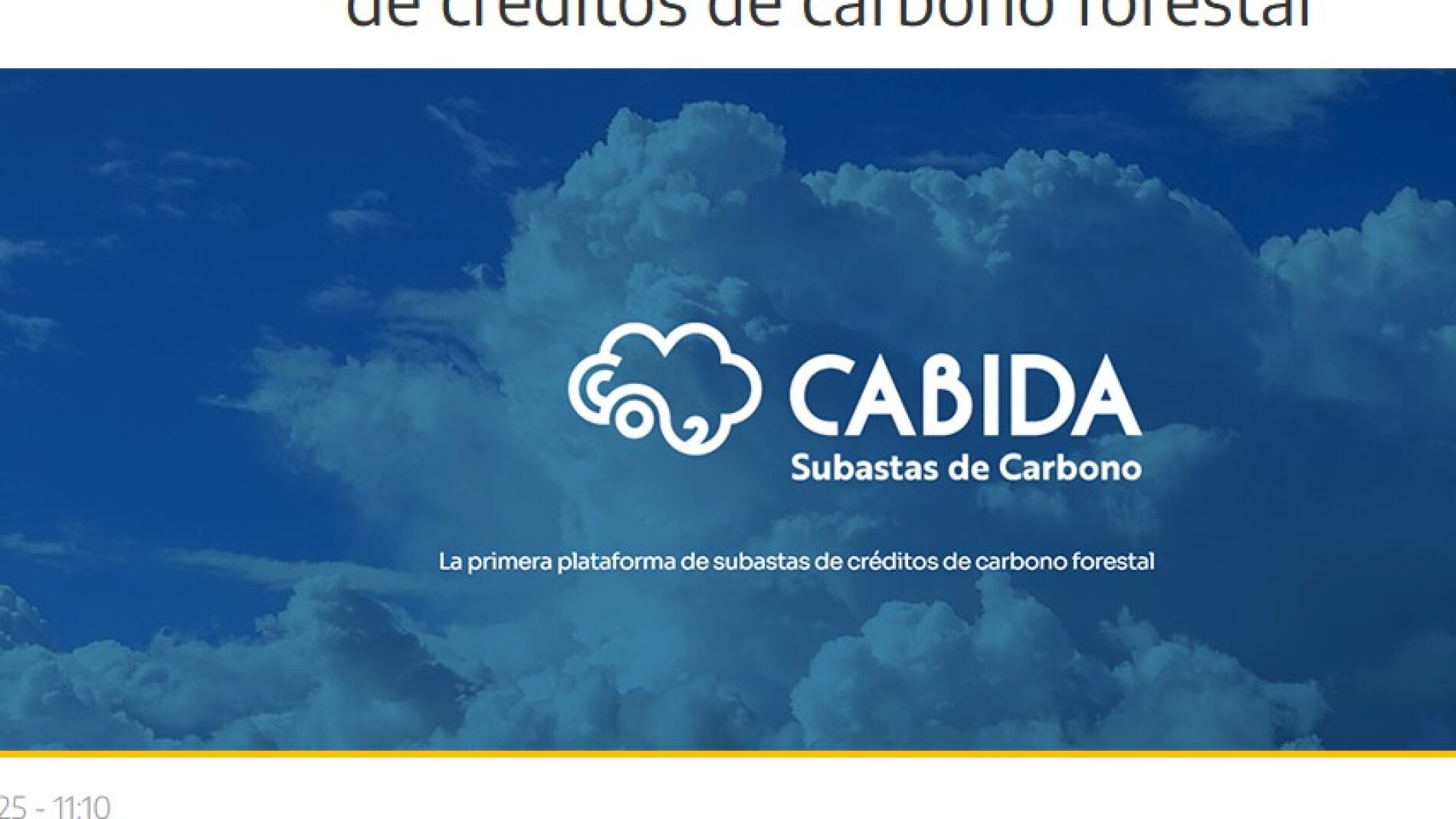 Castilla y León gana fuerza en el mercado nacional de créditos de carbono forestal