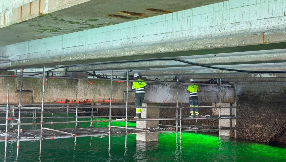 Rehabilitación y mejora del Muelle Mejillonero del puerto de Moaña