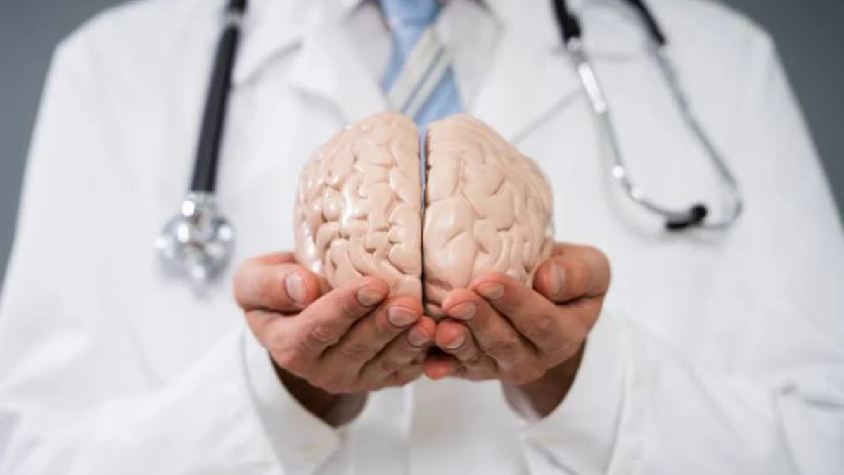 cerebro-imagen
