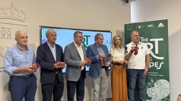 MURCIA.-Murcia acoge la pr&oacute;xima semana el XI Simposio Internacional sobre la Uva de Mesa
