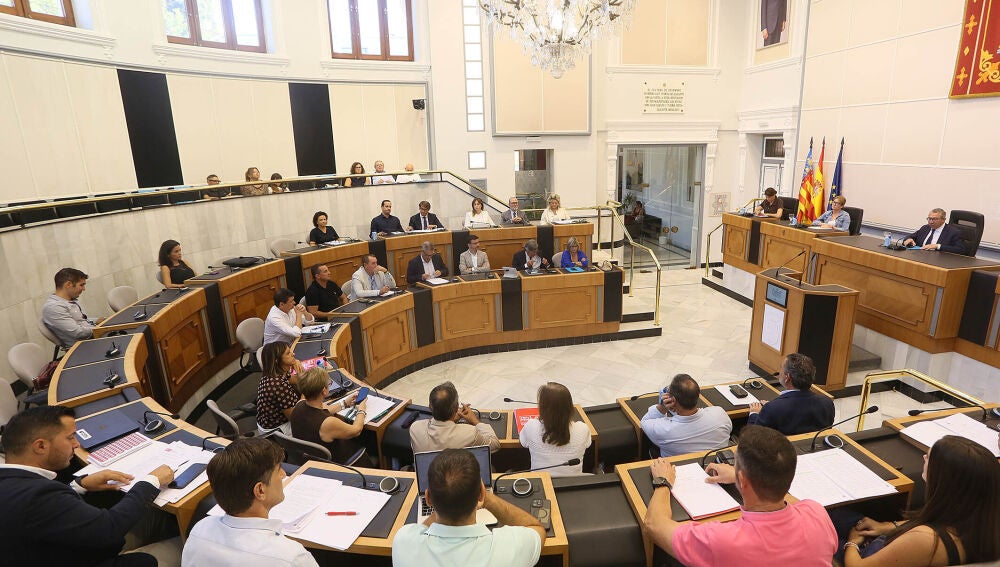 Imagen del pleno extraordinario de hoy de la Diputaci&oacute;n de Alicante en el que se ha aprobado el bono comercio