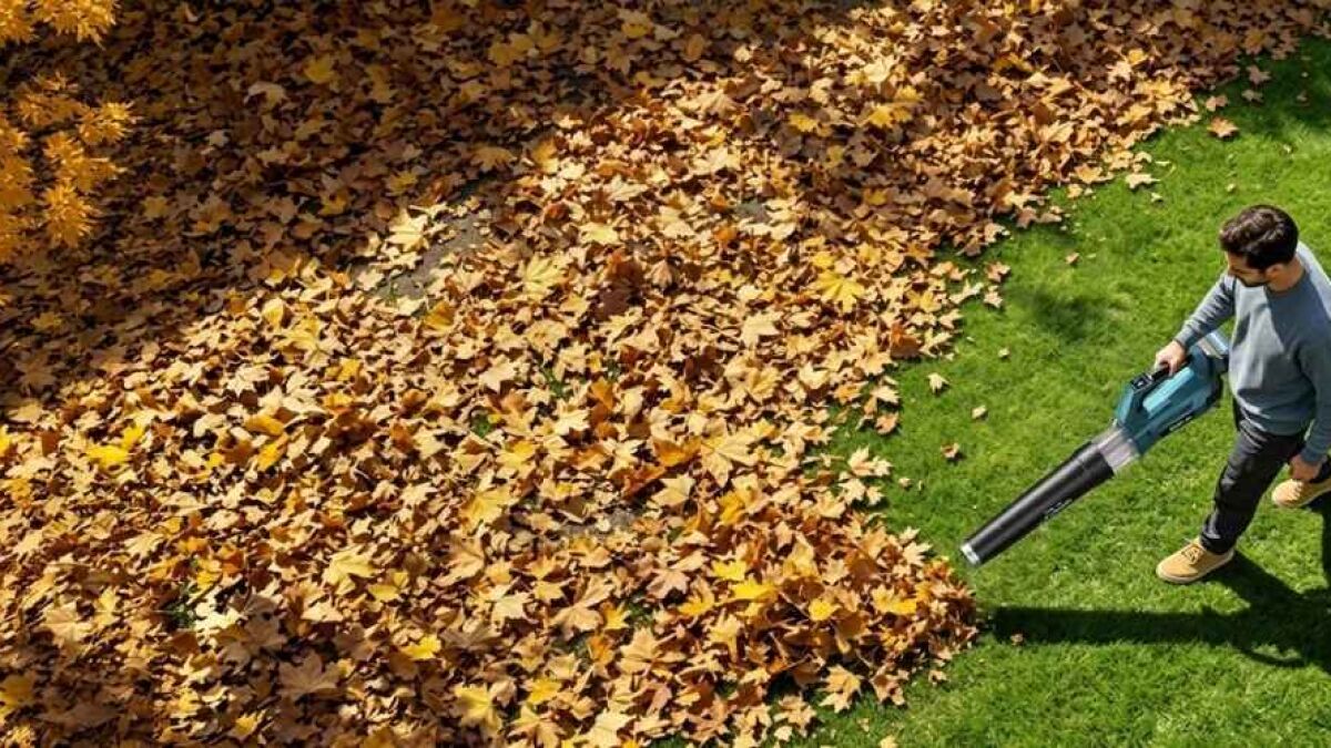 Rinoxar Hurricane X20 Pro Leaf Blower Discounted on Amazon