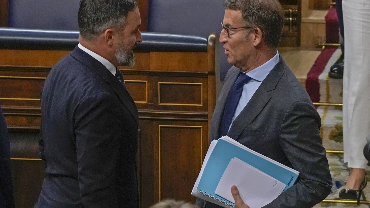 The leader of Spain's conservatives Alberto Feijoo, right, speaks with the extreme right wing party leader Santiago Abascal after an investiture session at the Spanish parliament in Madrid, Spain, Wednesday, Sept. 27, 2023. Feijoo has failed in his long-shot first bid to become the country's next prime minister, falling short of the votes he needed in the Spanish parliament to form a government.