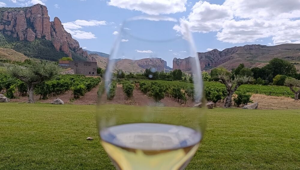 Rioja: una emocionante escapada otoñal al corazón del enoturismo