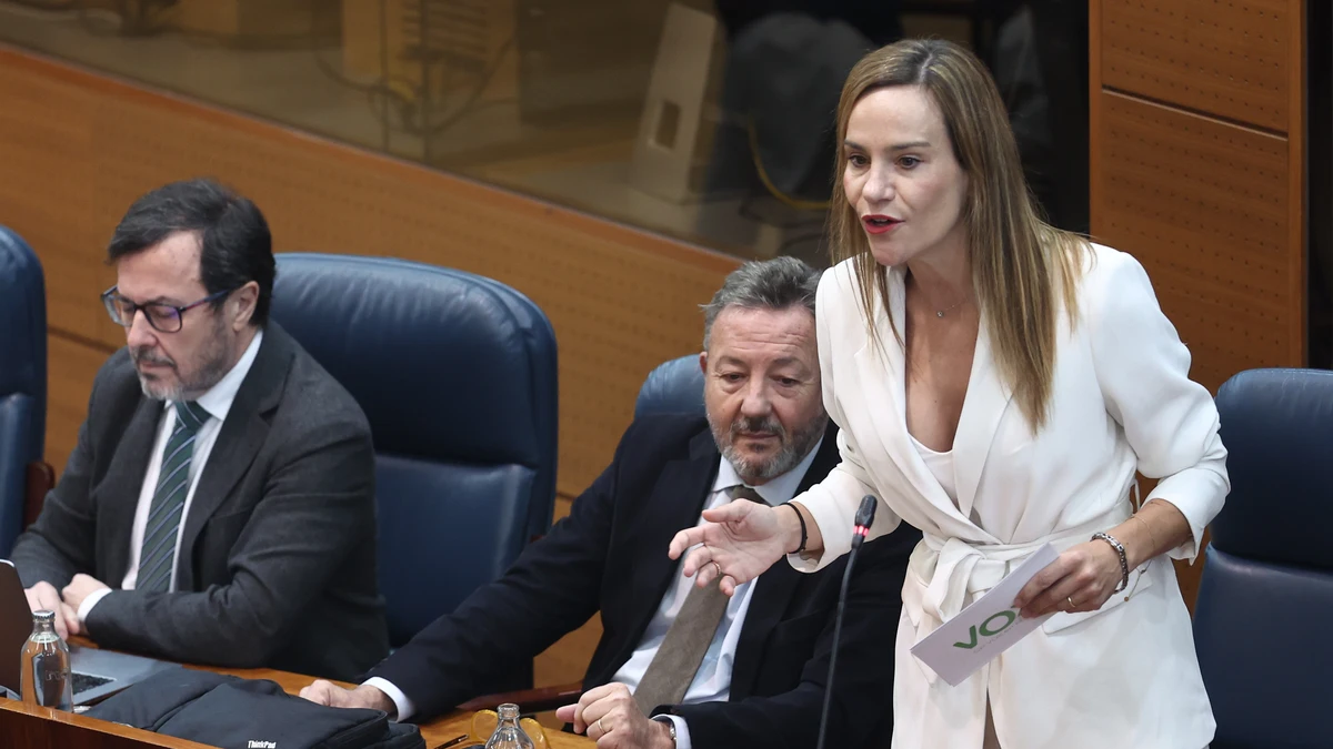 La Asamblea de Madrid aprueba las leyes de Defensa del contribuyente y de Ordenación del Turismo