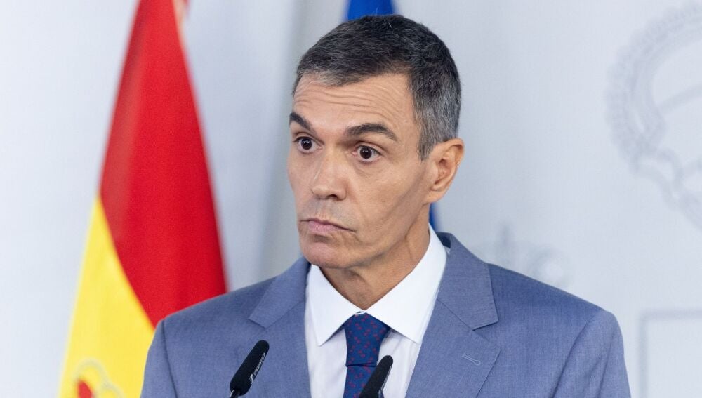 El presidente del Gobierno, Pedro S&aacute;nchez
