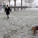 Un parque blanco debido a la cencellada y escarcha helada