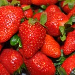 Un estudio en ratones muestra como actuan las fresas contra el cancer de mama