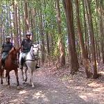 La Guardia Civil intensifica la vigilancia en el Camino de Santiago con patrullas a caballo 