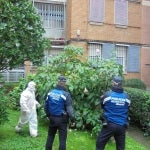 Retirada de plantas de burundanga de un jard&iacute;n de Madrid